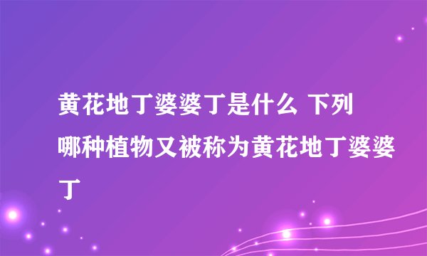 黄花地丁婆婆丁是什么 下列哪种植物又被称为黄花地丁婆婆丁