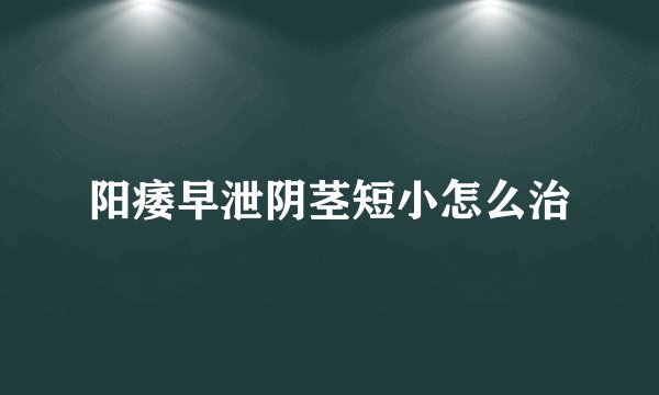 阳痿早泄阴茎短小怎么治