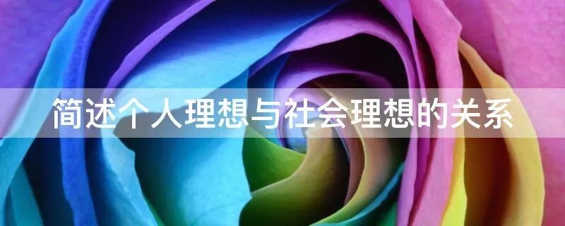 简述个人理想与社会理想的关系