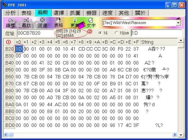 求FPE2001详细使用方法
