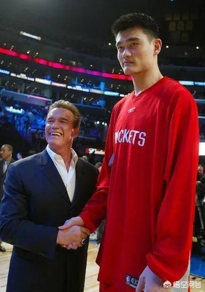 你觉得NBA球星和姚明一起合影会是什么效果?