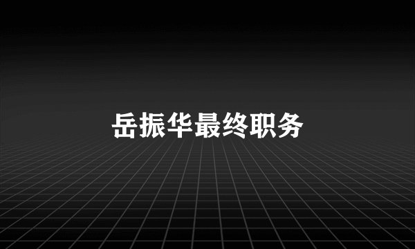 岳振华最终职务
