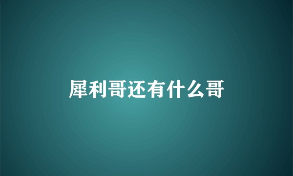 犀利哥还有什么哥