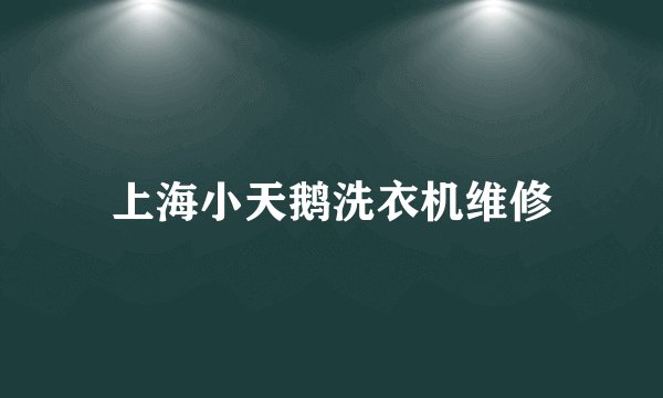 上海小天鹅洗衣机维修