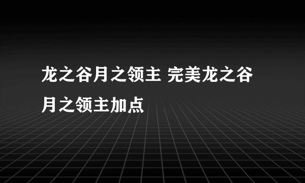 龙之谷月之领主 完美龙之谷月之领主加点