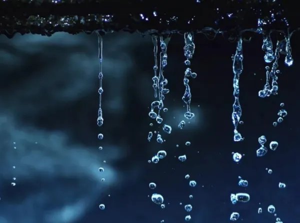 屋漏偏逢连夜雨下一句是什么句子