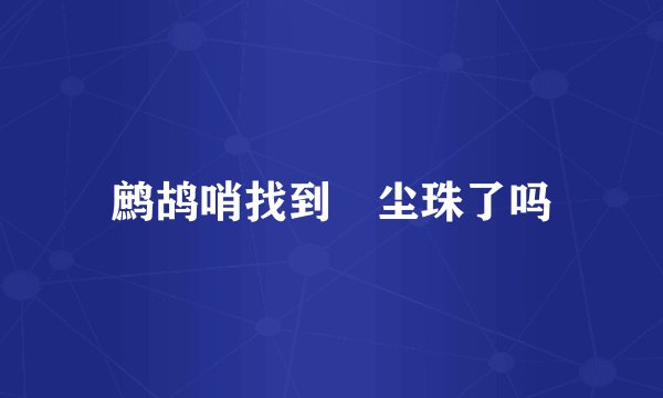 鹧鸪哨找到雮尘珠了吗