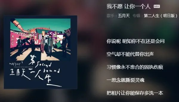 我不愿让你一个人，一个人在人海浮沉，是那首歌的歌词？