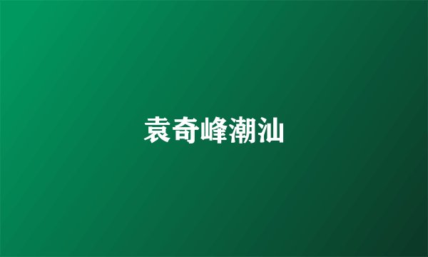 袁奇峰潮汕