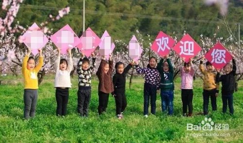 桃园怎么赚钱