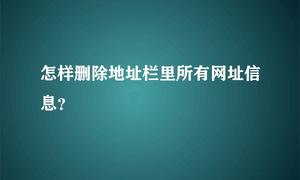 怎样删除地址栏里所有网址信息?