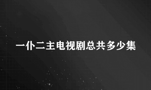 一仆二主电视剧总共多少集