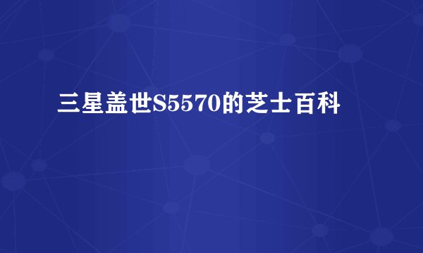 三星盖世S5570的芝士百科