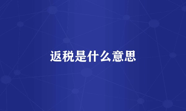 返税是什么意思