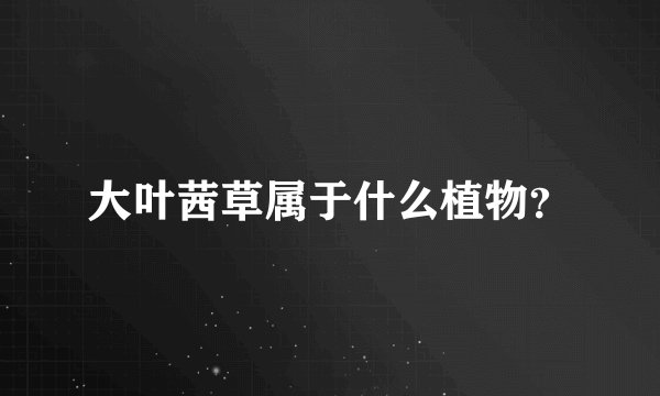 大叶茜草属于什么植物？