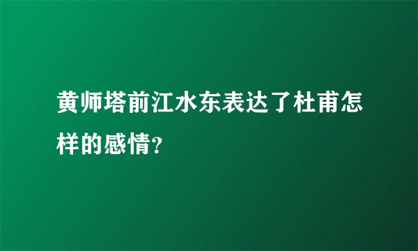 黄师塔前江水东表达了杜甫怎样的感情?