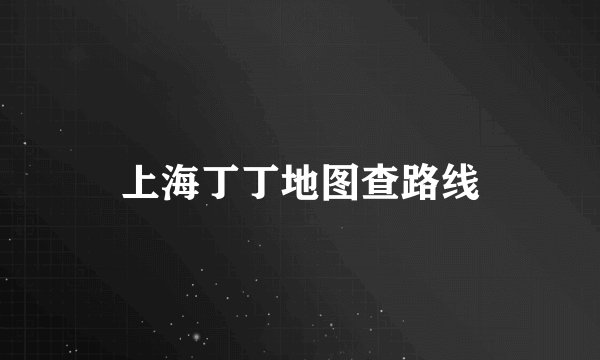 上海丁丁地图查路线