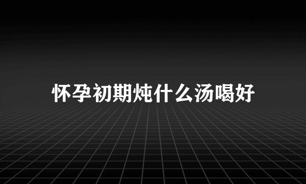怀孕初期炖什么汤喝好