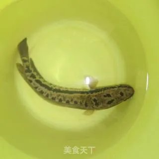 红烧柴鱼