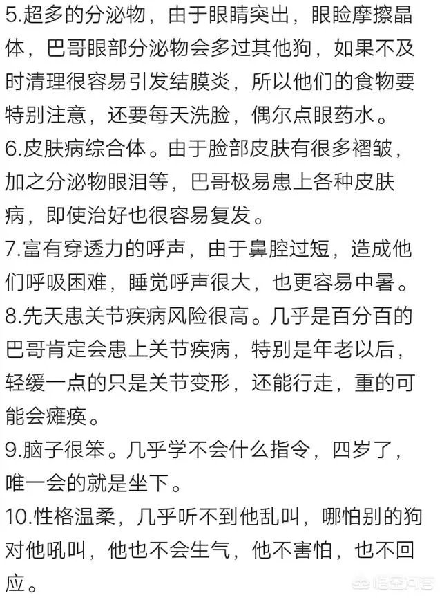 为什么养八哥犬的人那么少？