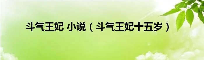 斗气王妃 小说（斗气王妃十五岁）