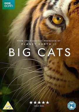 求《大猫(2018)》百度网盘高清资源在线观看，博迪·卡维尔主演的