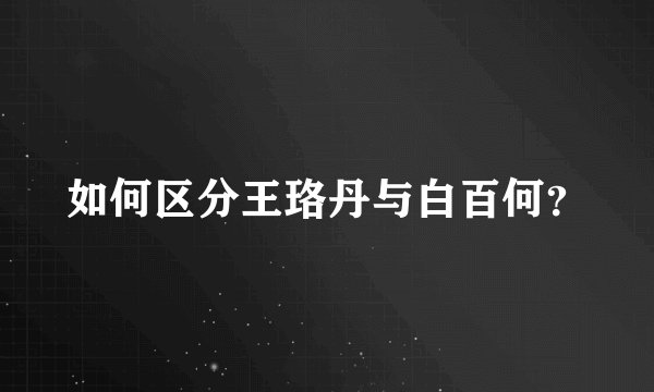 如何区分王珞丹与白百何？