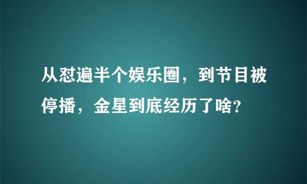 从怼遍半个娱乐圈,到节目被停播,金星到底经历了啥?