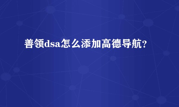 善领dsa怎么添加高德导航？