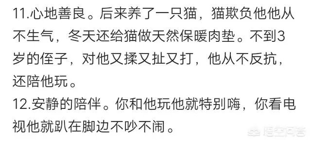 为什么养八哥犬的人那么少？