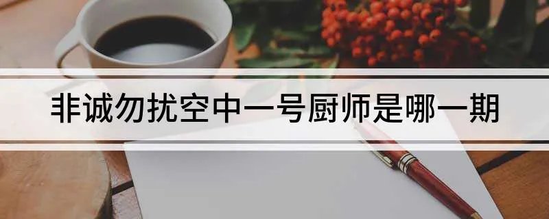 非诚勿扰空中一号厨师是哪一期