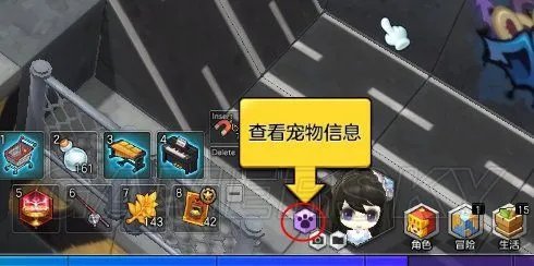 冒险岛2角色自动拾取功能说明 宠物自动拾取设置方法