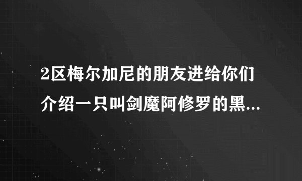 2区梅尔加尼的朋友进给你们介绍一只叫剑魔阿修罗的黑龙B。？
