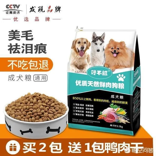 为什么养八哥犬的人那么少？