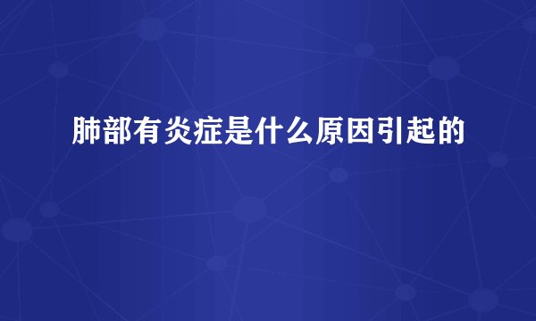 肺部有炎症是什么原因引起的