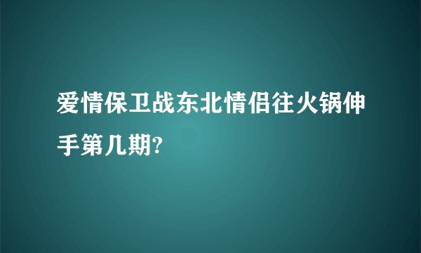 爱情保卫战东北情侣往火锅伸手第几期?