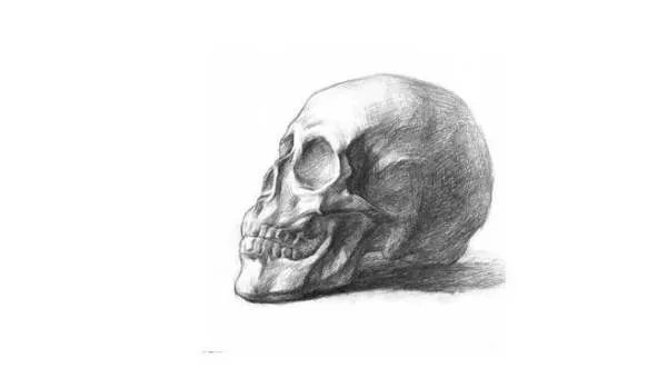 结构素描怎么画,什么是结构素描?