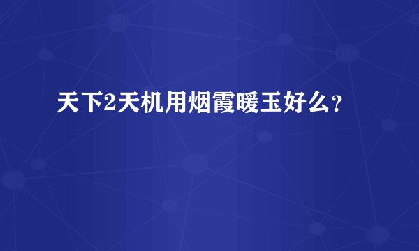 天下2天机用烟霞暖玉好么？