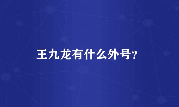 王九龙有什么外号？