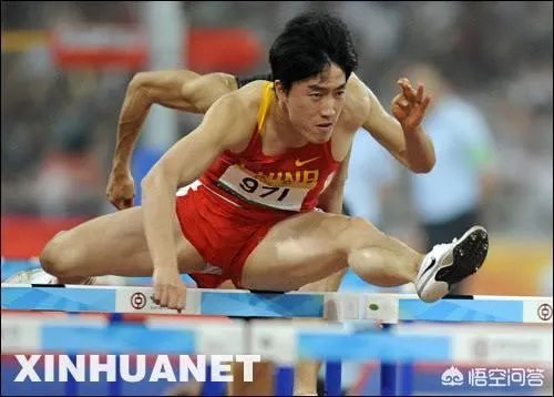 谢文骏在雅加达亚运会上能否获得男子110米项目的冠军?