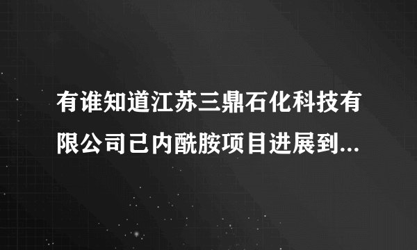 有谁知道江苏三鼎石化科技有限公司己内酰胺项目进展到哪步了？