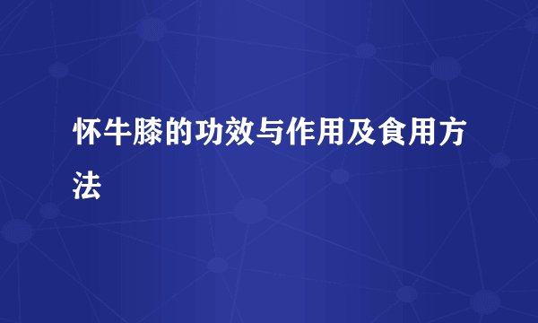 怀牛膝的功效与作用及食用方法