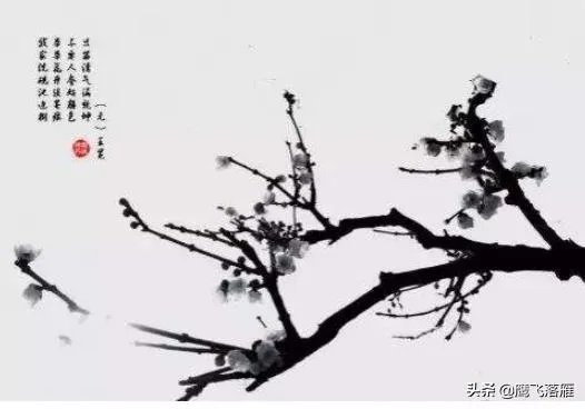 不要人夸颜色好只留清气满乾坤描写的是哪种花?