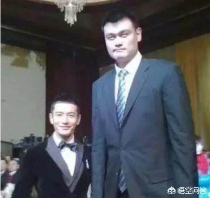 你觉得NBA球星和姚明一起合影会是什么效果?
