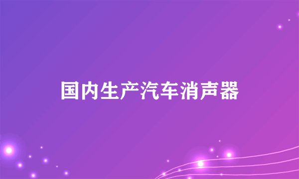 国内生产汽车消声器
