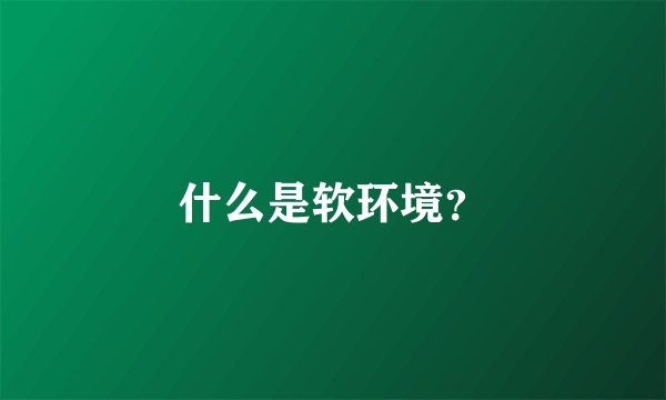 什么是软环境？