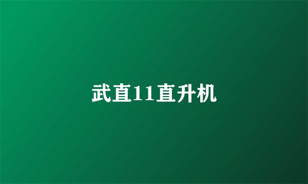 武直11直升机