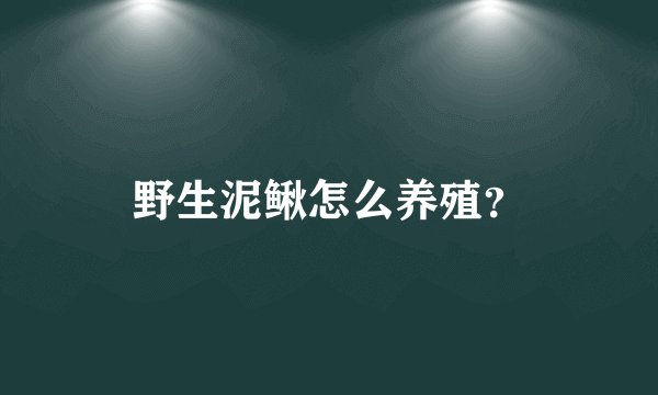 野生泥鳅怎么养殖？