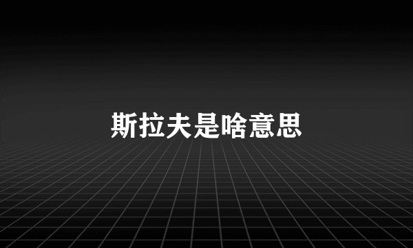 斯拉夫是啥意思
