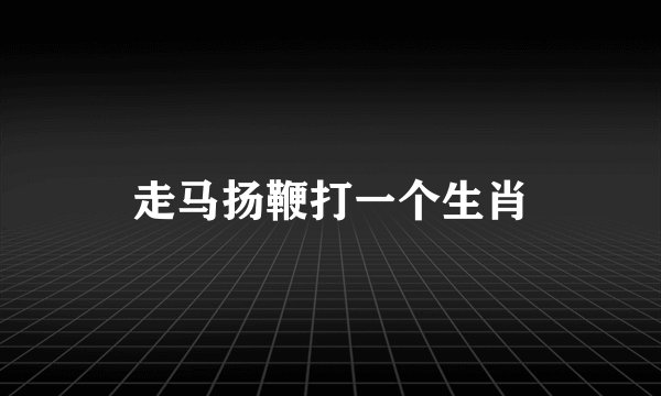 走马扬鞭打一个生肖
